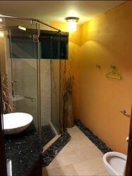 Celadon View (D17), Apartment #464434851